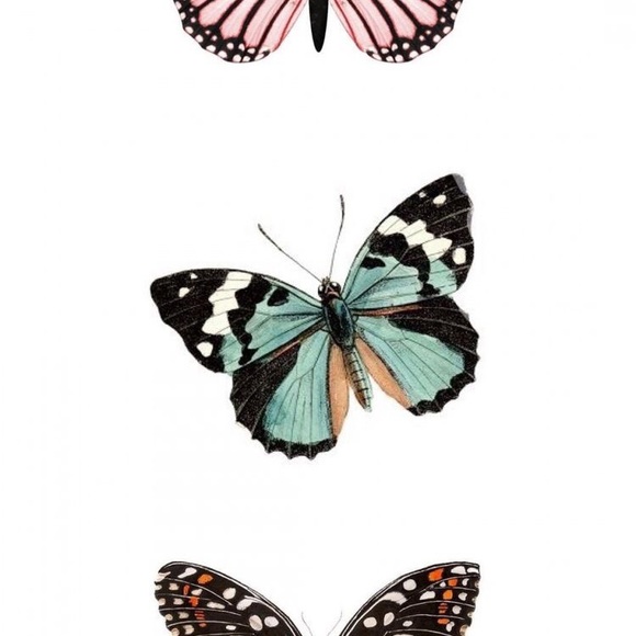 Meet your Posher, Cynthia - Picture 1 of 1